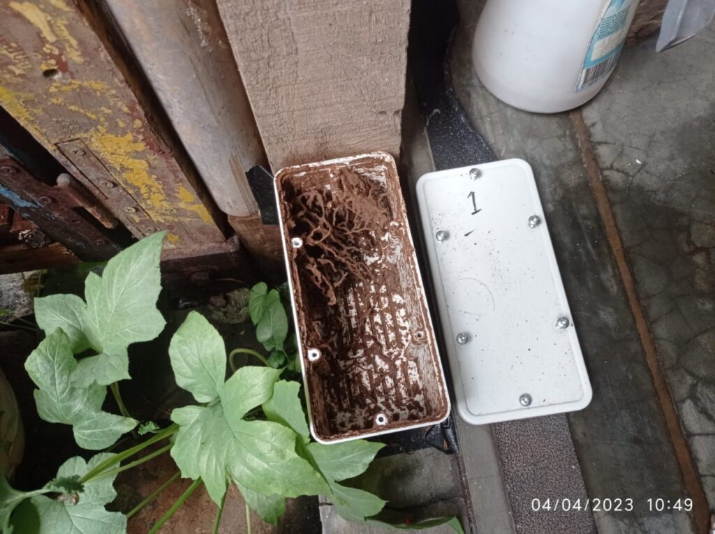Pemantauan 3 Pemantauan 3