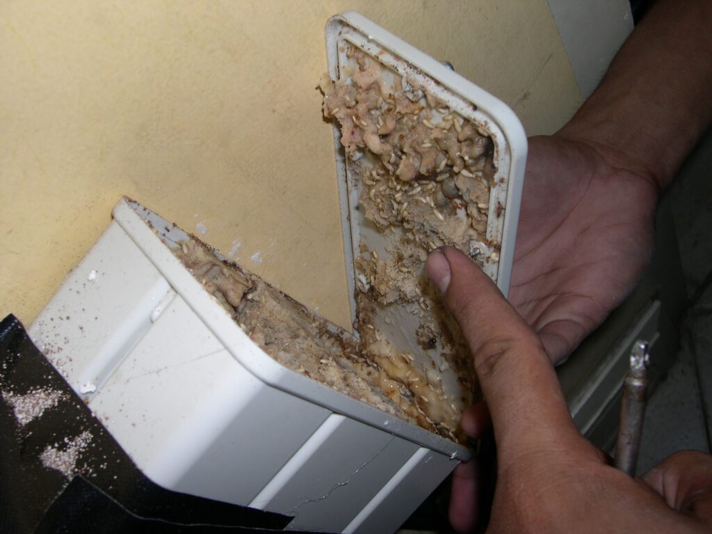 Fase Stop Feeding 3 5 Minggu
