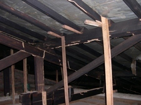 KAYU RANGKA ATAP 2